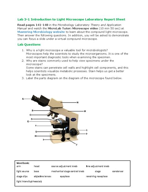 objective on a microscope|3.1: Introduction to the Microscope .